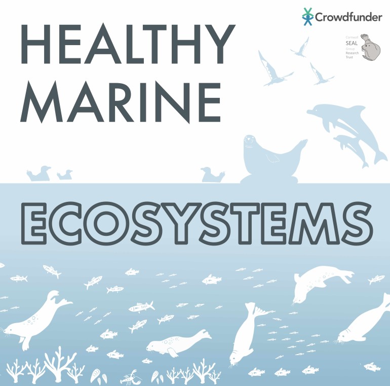 Healthy Marine Ecosystems
