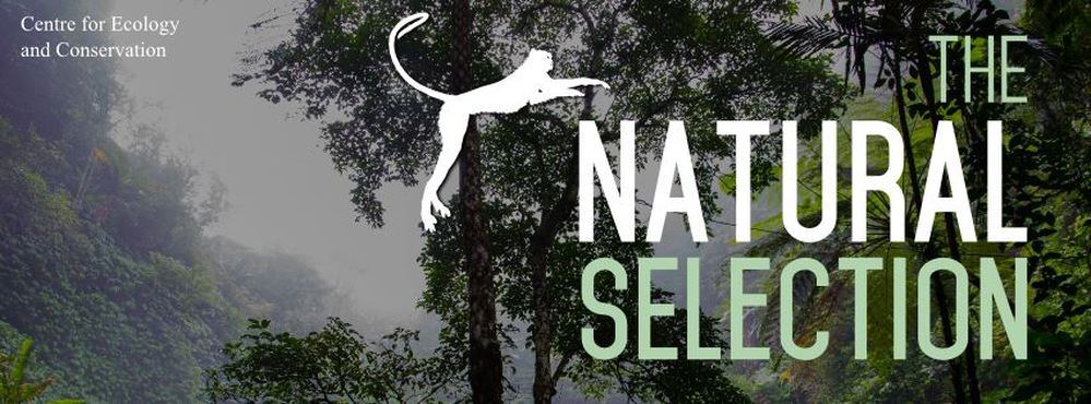 UoE Natural Selection logo by UoE