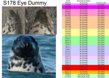 STAPIP seal's previous sightings