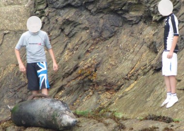 Smile in Newquay harbour masked