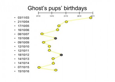 pupping-dates-2