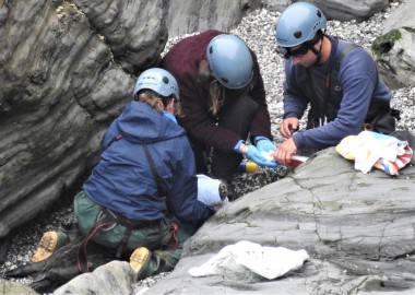 3 Rescue team immobilise seal by Kate Hockley CSGRT