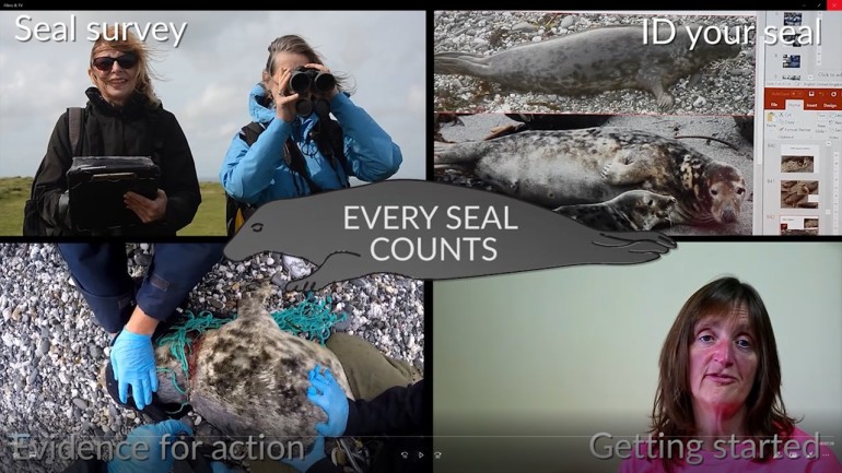 Every seal counts