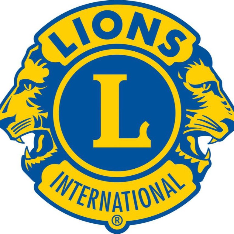 Hayle Lions