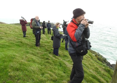 100th Seal survey 28th Dec 2019 by Claire Lewis (3)