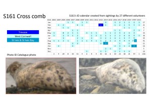 Pregnant females are especially vulnerable to disturbance