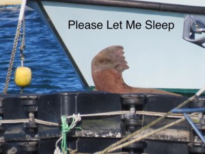 Please let this walrus sleep