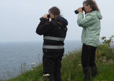 Rebecca and Sue distracted by seals and their subsequent disturbance by a visiting commercial watercraft 
