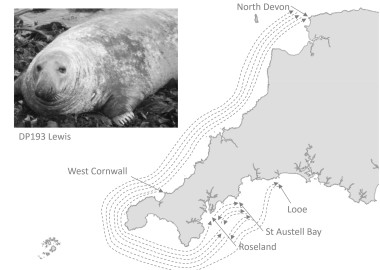 Lewis commutes SE Cornwall to N Devon