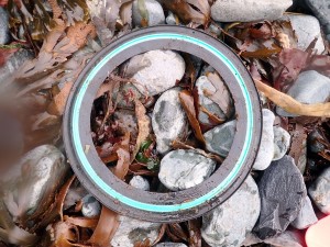 A black and green flying ring washed up on a shingle beach by the sea