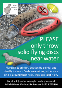 Poster with photo of spotty female seal with blue flying ring around her neck