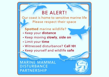 A graphic giving best practice messaging from the Marine Mammal Disturbance Partnership 