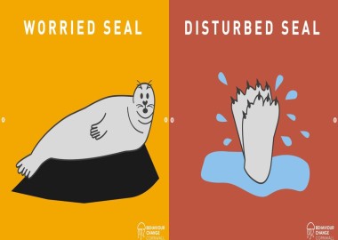 Graphics showing a worried and disturbed seal
