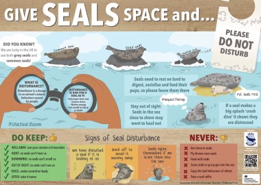 Give Seals Space sign showing the things to do and avoid if you want to help seals