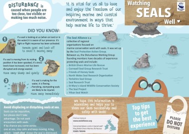 Give Seals Space leaflet showing the levels of seal disturbance and the groups that make up the Seal Alliance.