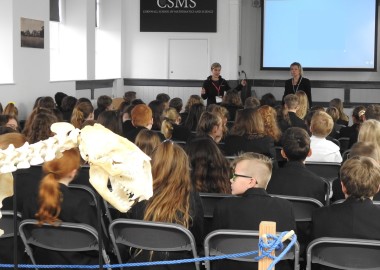 Photo showing large groups of secondary pups listening to a talk.