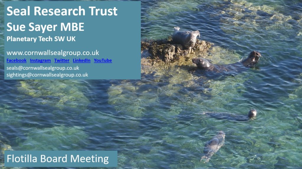 Photo of grey seals hauled out on offshore rocks in idyllic calm seas put at risk by PTs geoengineering CDR OAE project 