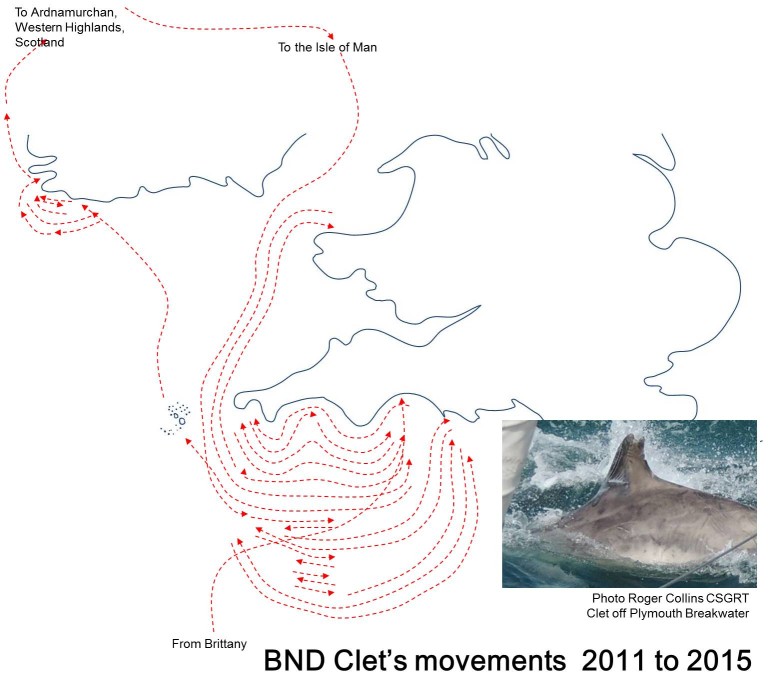 Sues map of movements