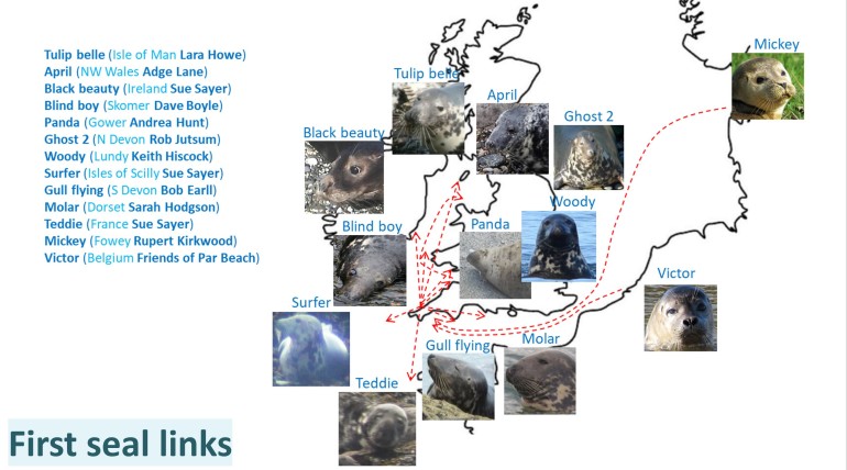 First seal links