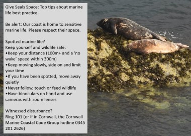 Photo of 2 seals on a rock with a list of best practice advice about how to give seals space