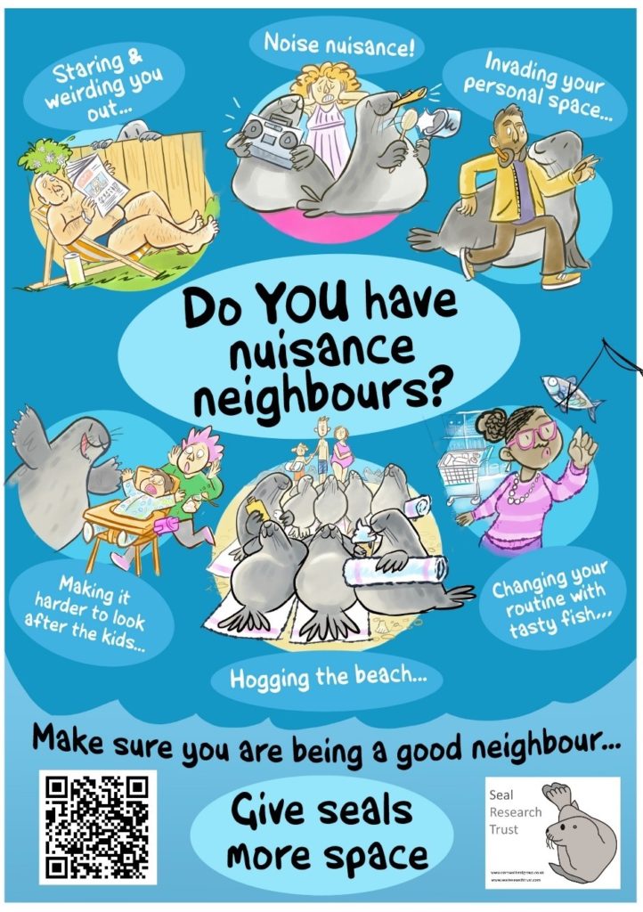 Poster created by Sam Church about how to be a good neighbour to seals